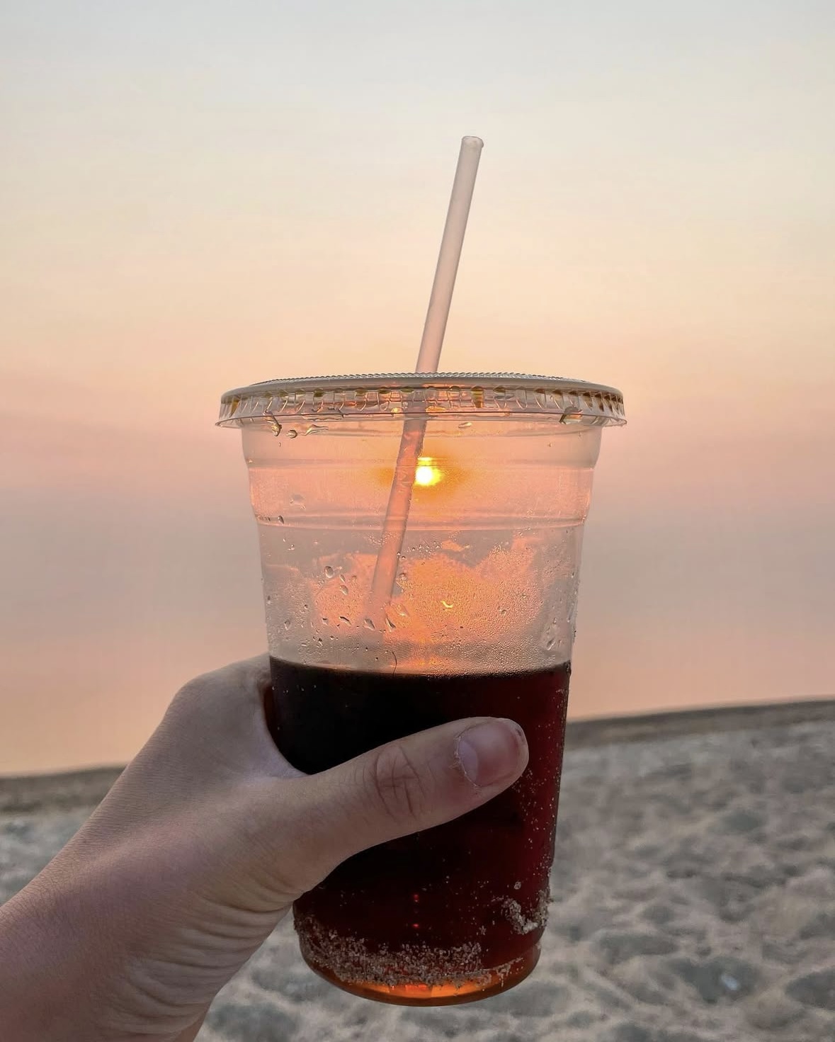 Cantabria Coffee Co. photo 6