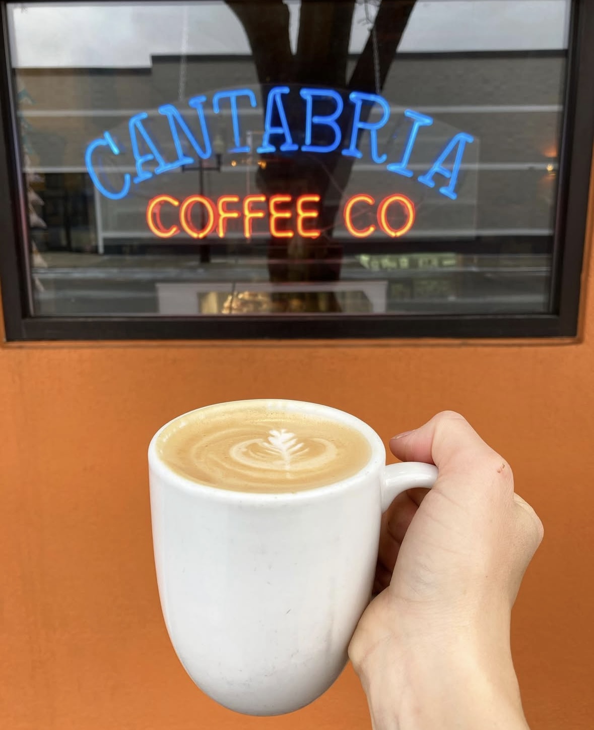 Cantabria Coffee Co. photo 7